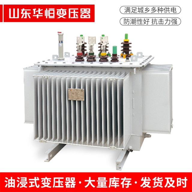 S13-10000/35宁南宁南宁南电力变压器